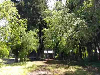 八幡神社（白山神社）の{uncategorized: "未分類", other: "その他", undefined: "問題あり", building: "その他建物", grave: "お墓", sacred_gate: "鳥居", guardian: "狛犬", statue: "像", buddha: "仏像", history: "歴史", nature: "自然", garden: "庭園", animal: "動物", pagoda: "塔", temizu: "手水舎", mountain_gate: "山門・神門", sanctuary: "本殿・本堂", subordinate: "末社・摂社", art: "芸術", scenery: "景色", jizo: "地蔵", ema: "絵馬", goshuin: "御朱印", omikuji: "おみくじ", items: "授与品その他", amulet: "お守り", goshuincho: "御朱印帳", eats: "食事", festival: "お祭り", votive_dance: "神楽", shichigosan: "七五三参", wedding: "結婚式", experience: "体験その他", initially: "初詣", around: "周辺", anti_infection: "感染症対策"}
