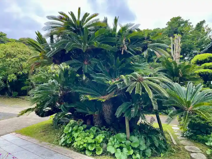 浄泉寺(神奈川県)