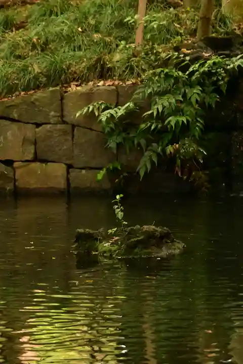 武蔵一宮氷川神社(埼玉県)