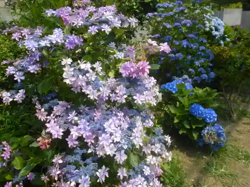 理智光寺跡（理智光寺址）＜史跡＞の自然