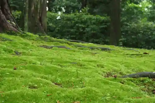 唐招提寺(奈良県)