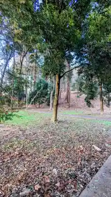 神明神社の自然