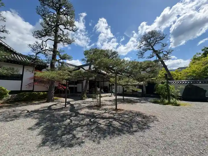 廬山寺(廬山天台講寺)の{uncategorized: "未分類", other: "その他", undefined: "問題あり", building: "その他建物", grave: "お墓", sacred_gate: "鳥居", guardian: "狛犬", statue: "像", buddha: "仏像", history: "歴史", nature: "自然", garden: "庭園", animal: "動物", pagoda: "塔", temizu: "手水舎", mountain_gate: "山門・神門", sanctuary: "本殿・本堂", subordinate: "末社・摂社", art: "芸術", scenery: "景色", jizo: "地蔵", ema: "絵馬", goshuin: "御朱印", omikuji: "おみくじ", items: "授与品その他", amulet: "お守り", goshuincho: "御朱印帳", eats: "食事", festival: "お祭り", votive_dance: "神楽", shichigosan: "七五三参", wedding: "結婚式", experience: "体験その他", initially: "初詣", around: "周辺", anti_infection: "感染症対策"}