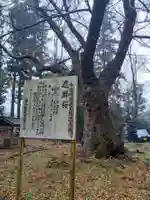 長谷寺の自然