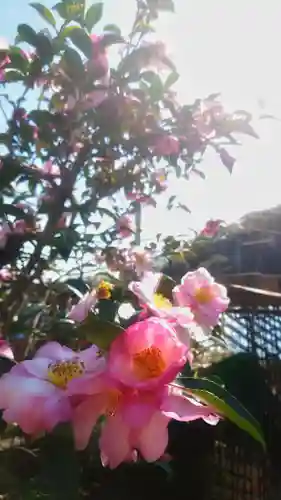 岐阜稲荷山本社の自然