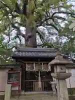 新熊野神社の自然
