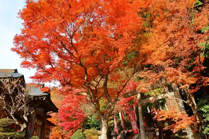 鹿島大神宮の景色