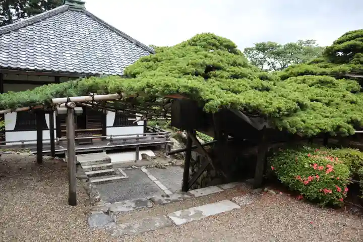 善峯寺(京都府)