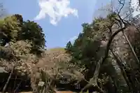 磐椅神社の自然