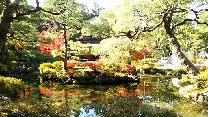 慈照寺(慈照禅寺・銀閣寺)の庭園