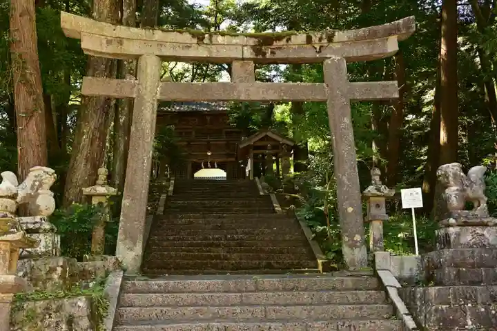 三島神社(藤縄森三島神社)(愛媛県)