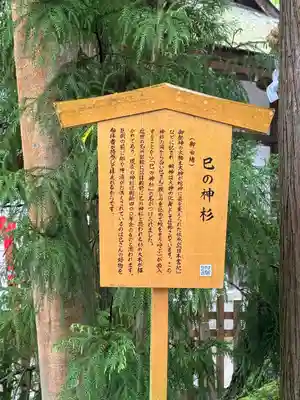 大神神社(奈良県)