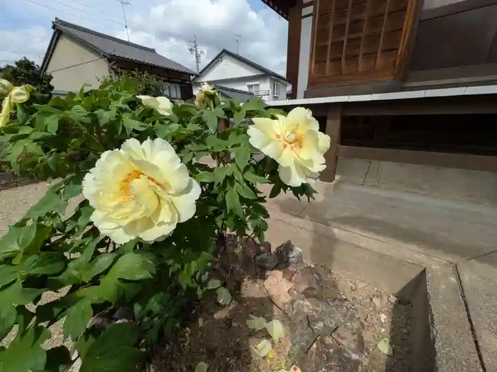 立蔵寺(岐阜県)