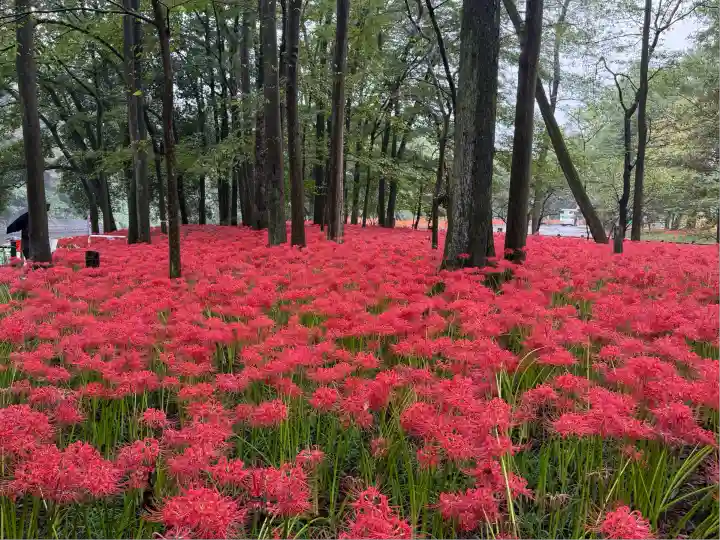 高麗神社(埼玉県)