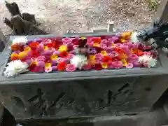 宇佐八幡神社(徳島県)