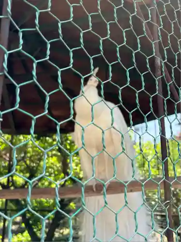 進雄神社(群馬県)