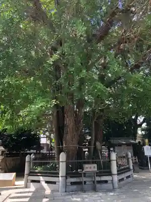 二日市八幡宮(福岡県)