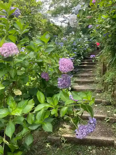 観音寺(京都府)