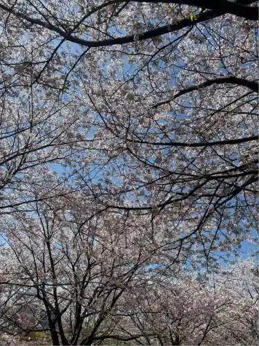 茅ヶ崎杉山神社(神奈川県)