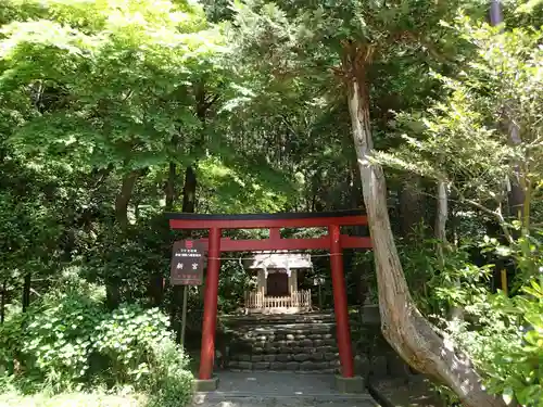 鶴岡八幡宮の鳥居