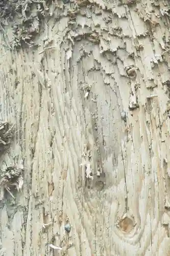 諏訪大社上社前宮の自然