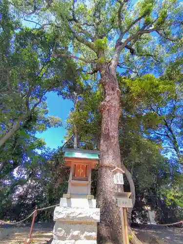八劔神社（森孝）の自然