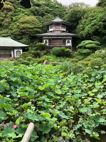 光明寺(神奈川県)