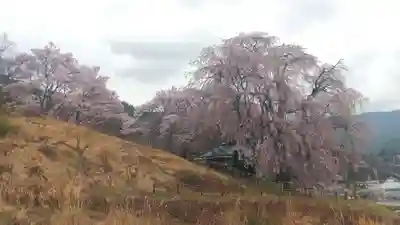 勝間薬師堂(長野県)