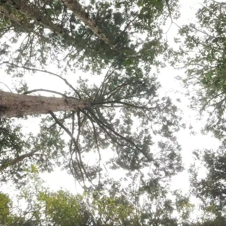 鹿島神宮の自然