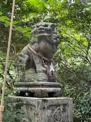 小椋神社の狛犬