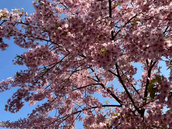 建勲神社(京都府)