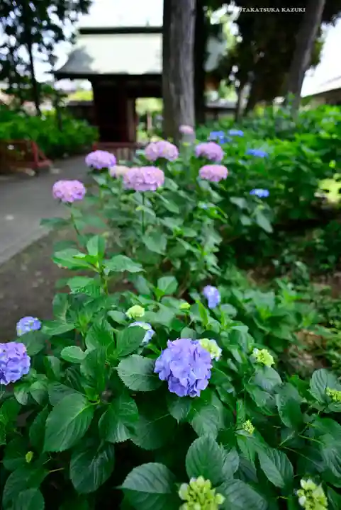 仙波東照宮(埼玉県)