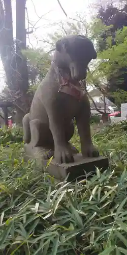 瀧泉寺（目黒不動尊）の狛犬