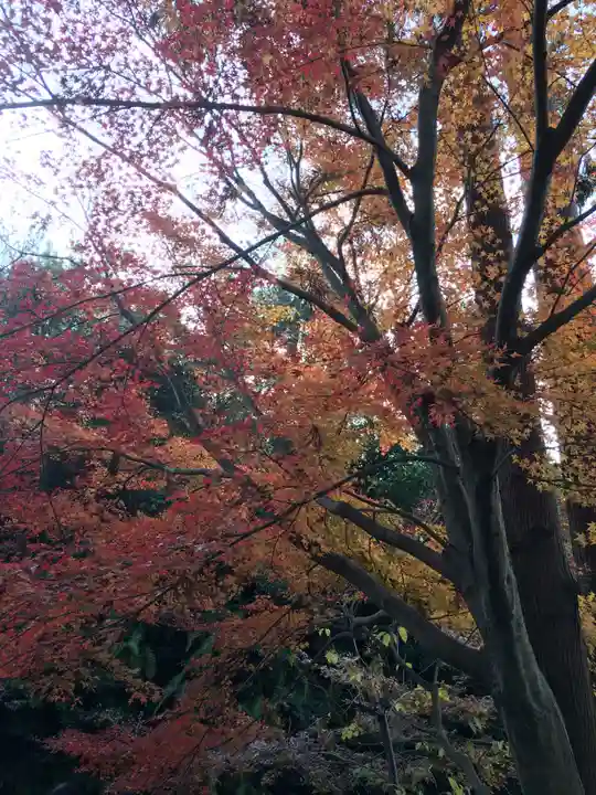 清水寺(京都府)