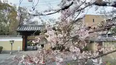 大報恩寺（千本釈迦堂）の自然