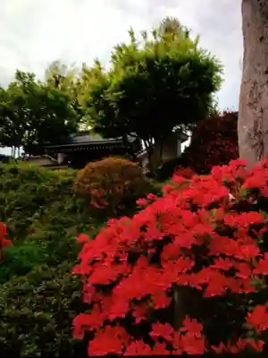 神足寺(東京都)