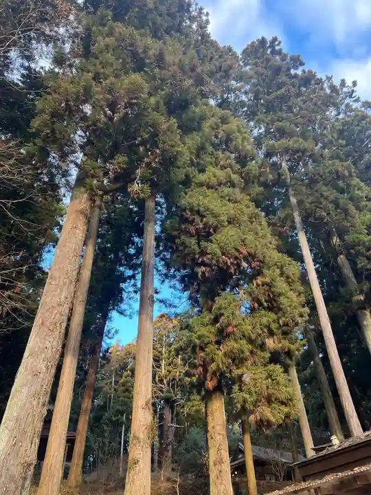 大宮温泉神社(栃木県)