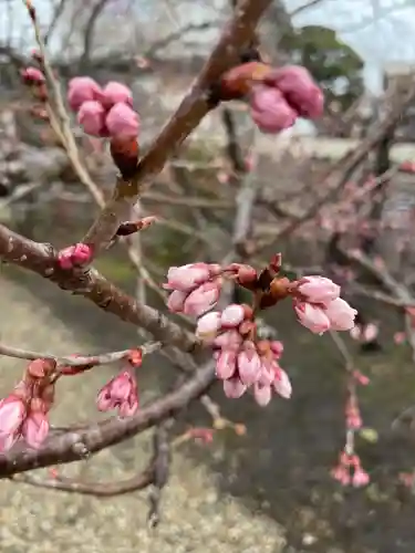 元興寺(奈良県)