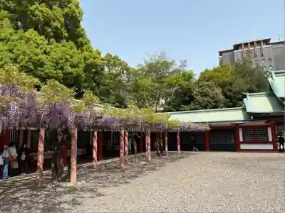 山王稲荷神社（日枝神社末社）の自然