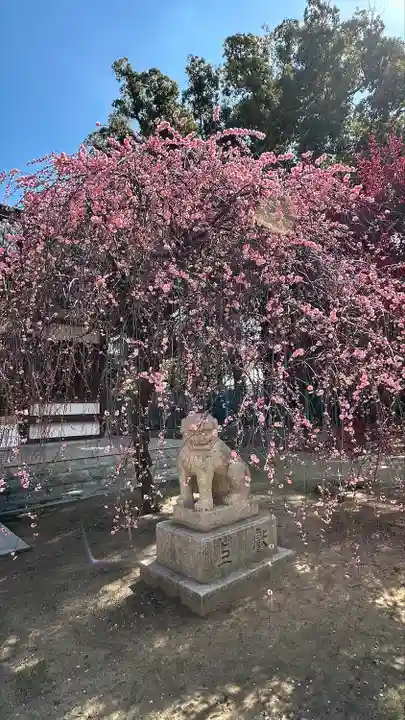 屯倉神社(大阪府)