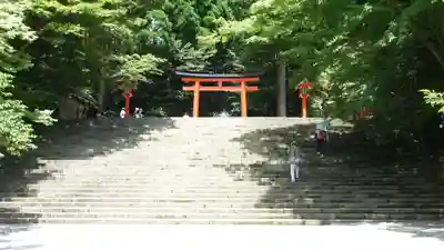 霧島神宮(鹿児島県)