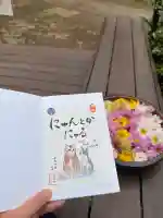 増上寺塔頭 三縁山 宝珠院の御朱印