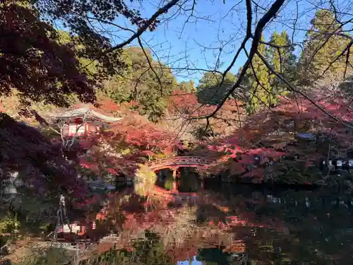 醍醐寺(京都府)