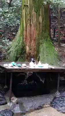 天岩戸神社(宮崎県)