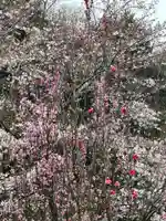 弁財天(神奈川県)