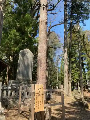 小野神社(長野県)