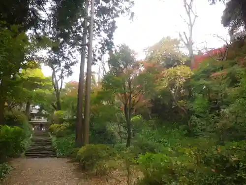 浄智寺の庭園