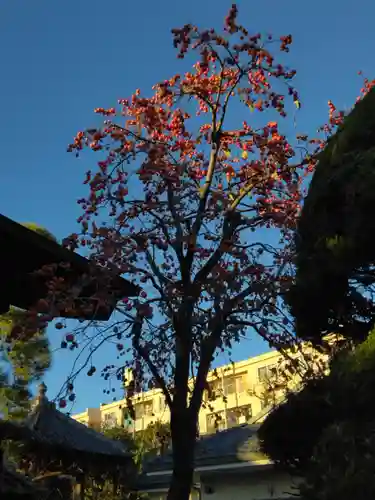 良忠寺(神奈川県)