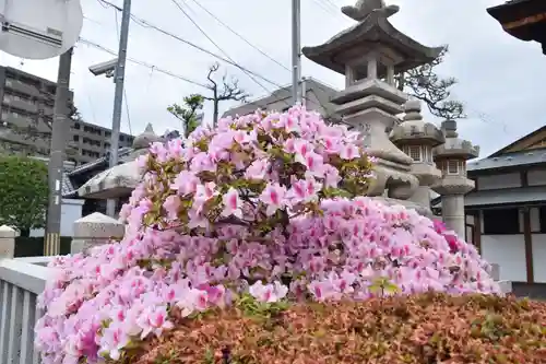 豊国神社の自然