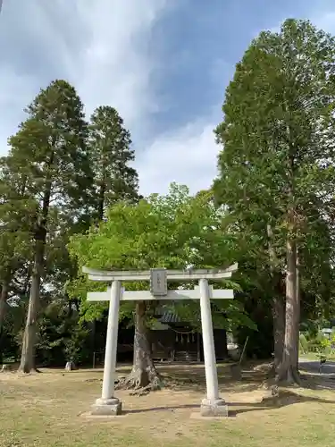 大宮神社の鳥居